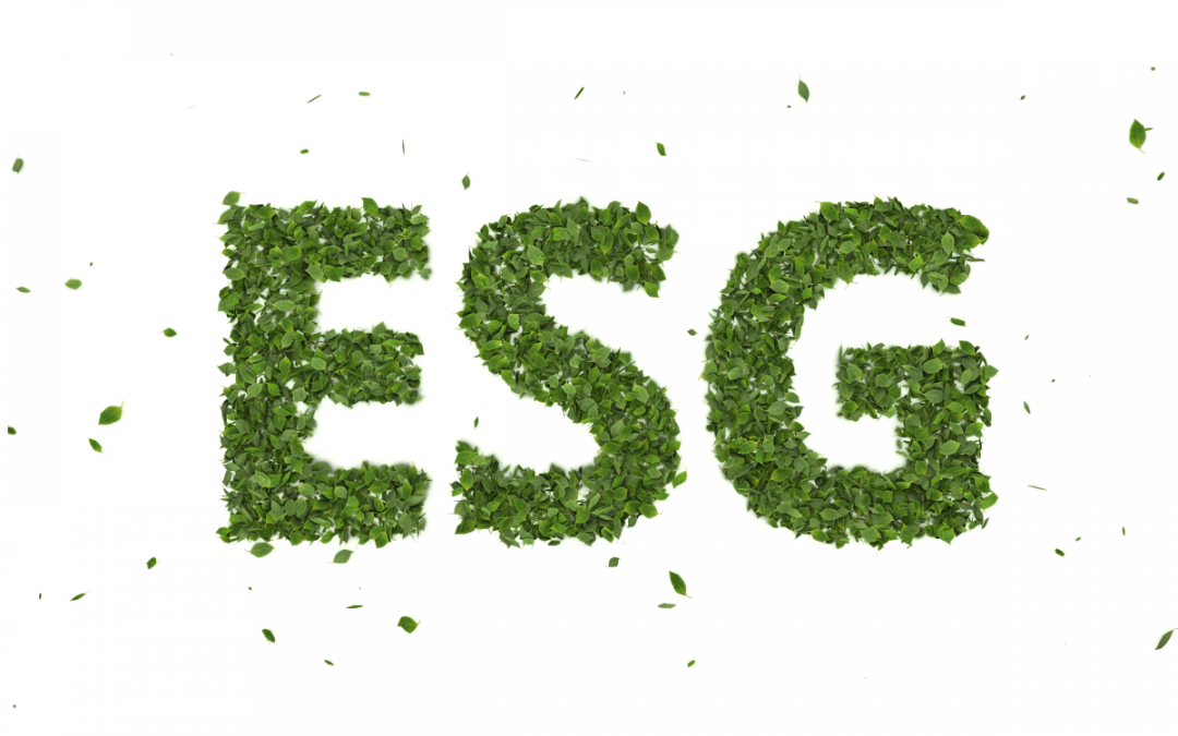 The Era of Responsibility – Top ESG Trends for 2022